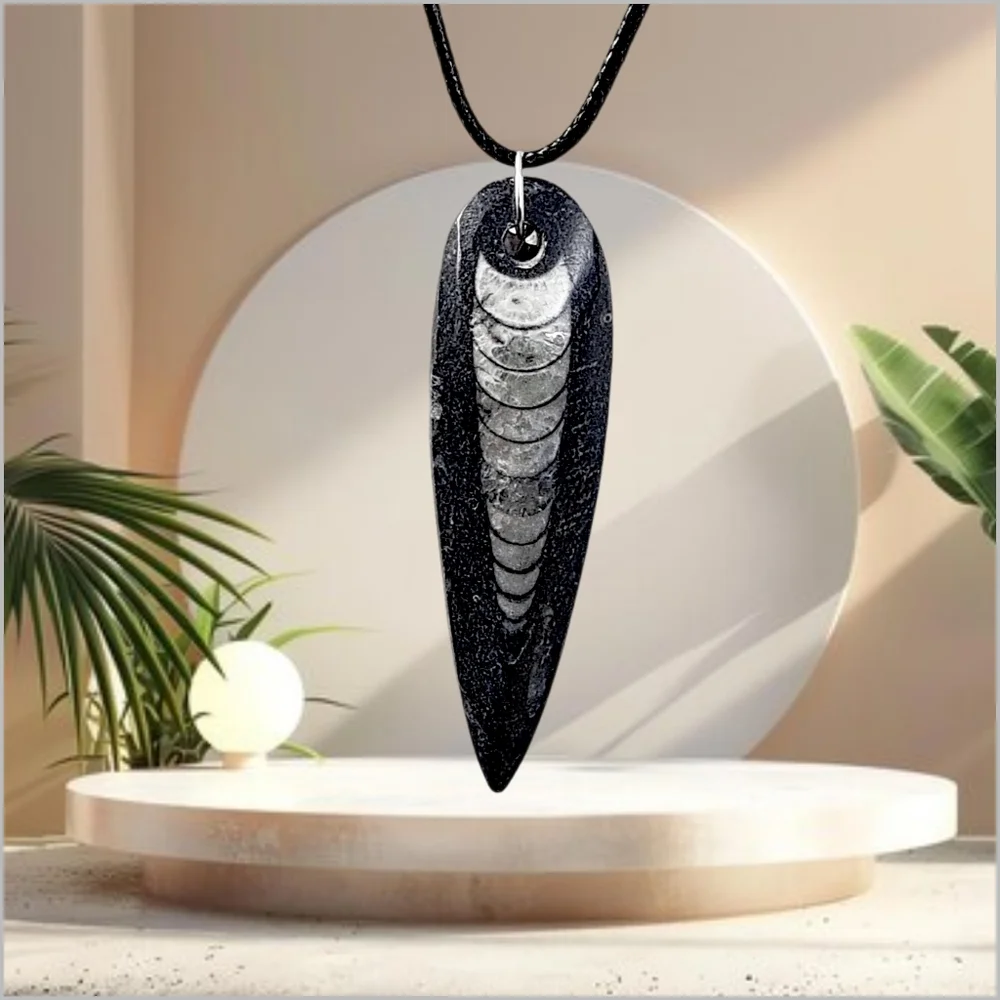 Genuine Fossilized Orthoceras Pendant with Black Cord Necklace